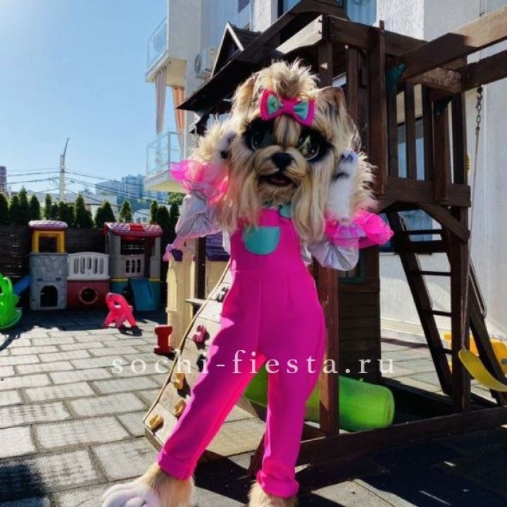 Аниматор Гламурная Собака в Ангарске