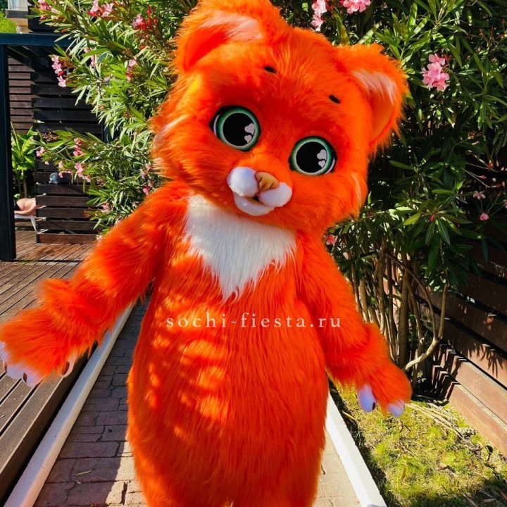 Аниматор Котик в Ангарске