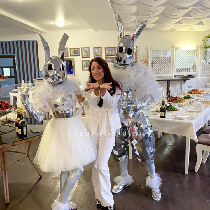 Аниматор Зеркальный заяц в Ангарске