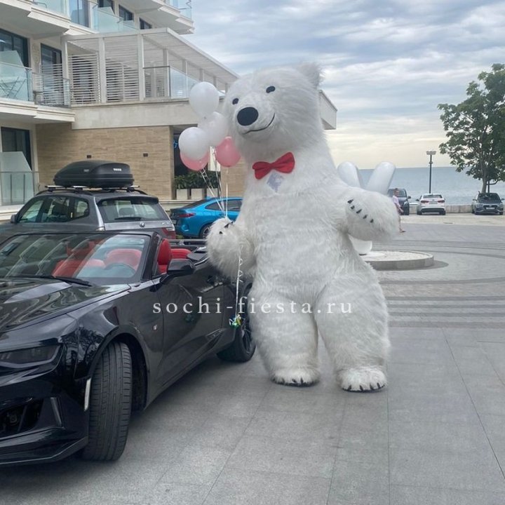 Аниматор Белый Медведь в Ангарске