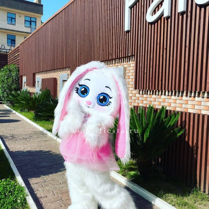 Аниматор Зайка в Ангарске