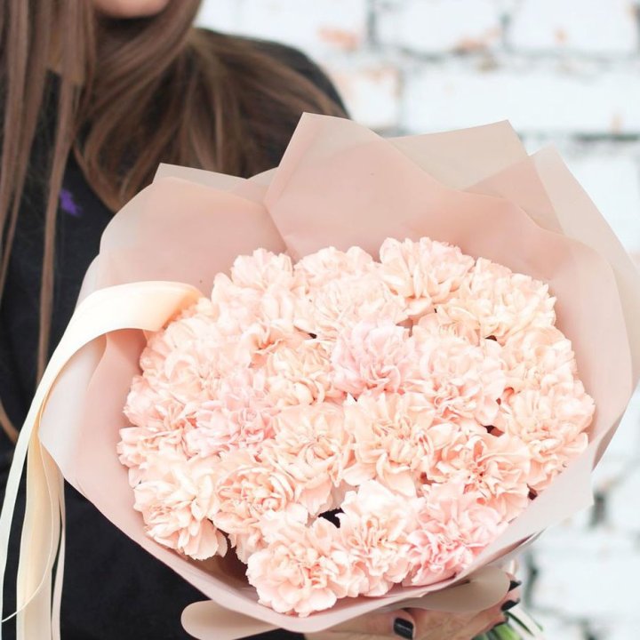 Диантусы №2 в Ангарске