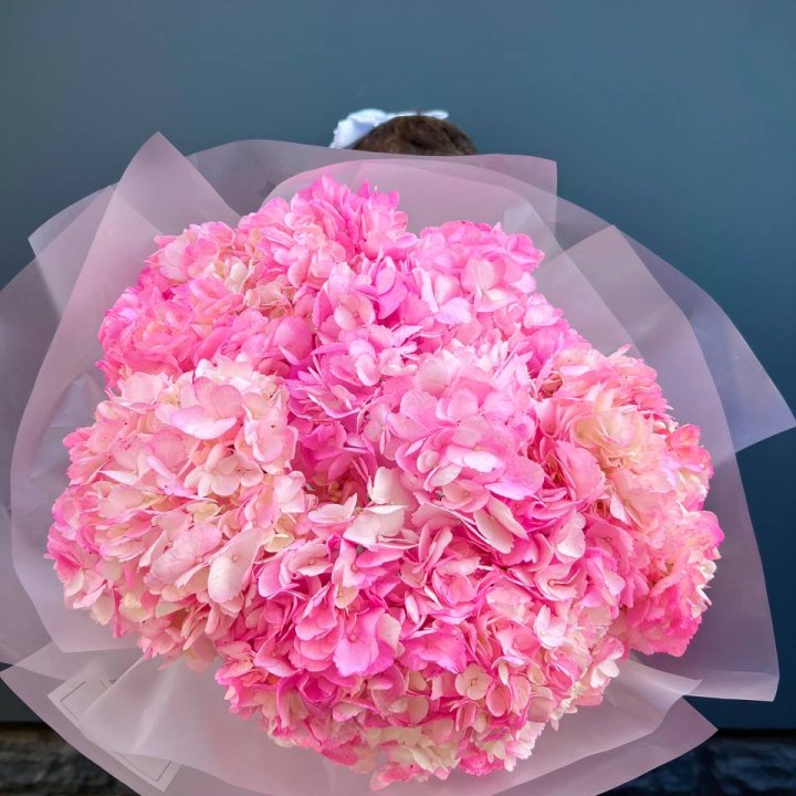 9 ярко розовых гортензий в Ангарске