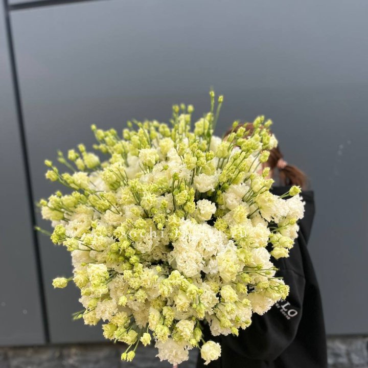 51 белая эустома в Ангарске