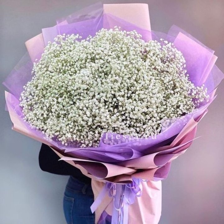 Облако белых гипсофил в Ангарске