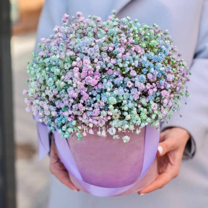 Гипсофилы в шляпной коробке "Кандилайт" в Ангарске