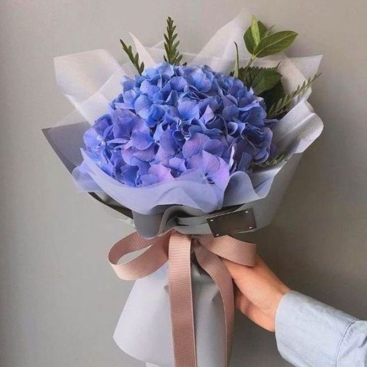 Гортензия голубая в Ангарске