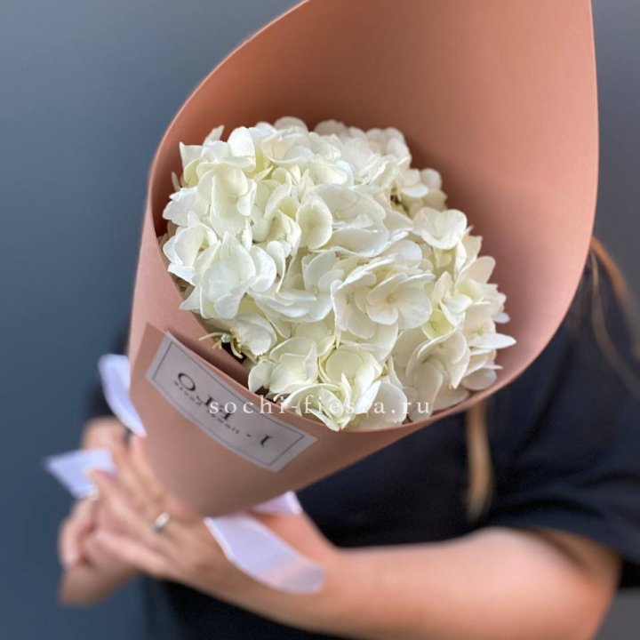 Гортензия в конверте в Ангарске