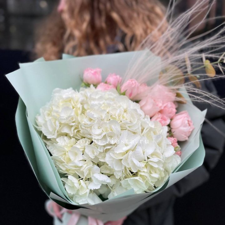 Гортензия "Жасмин" в Ангарске