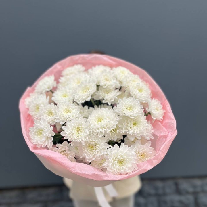  5 хризантем  в Ангарске