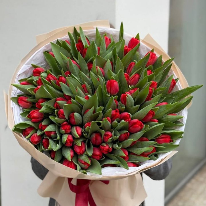 101 красный тюльпан в Ангарске