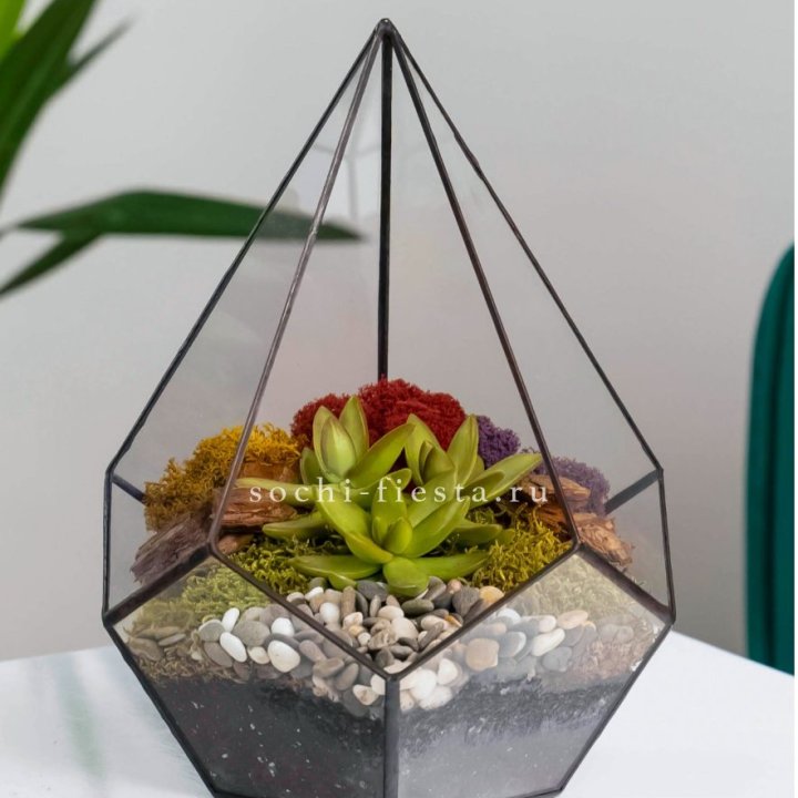 Флорариум Капля с суккулентом в Ангарске
