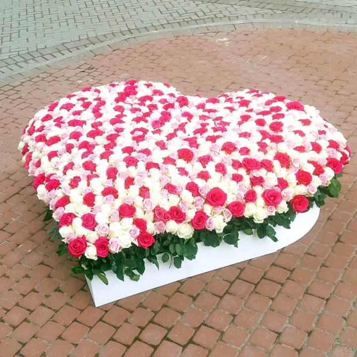 555 роза  в Ангарске