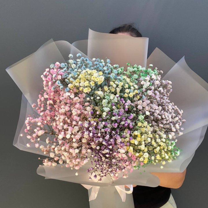 Радужные гипсофилы  в Ангарске