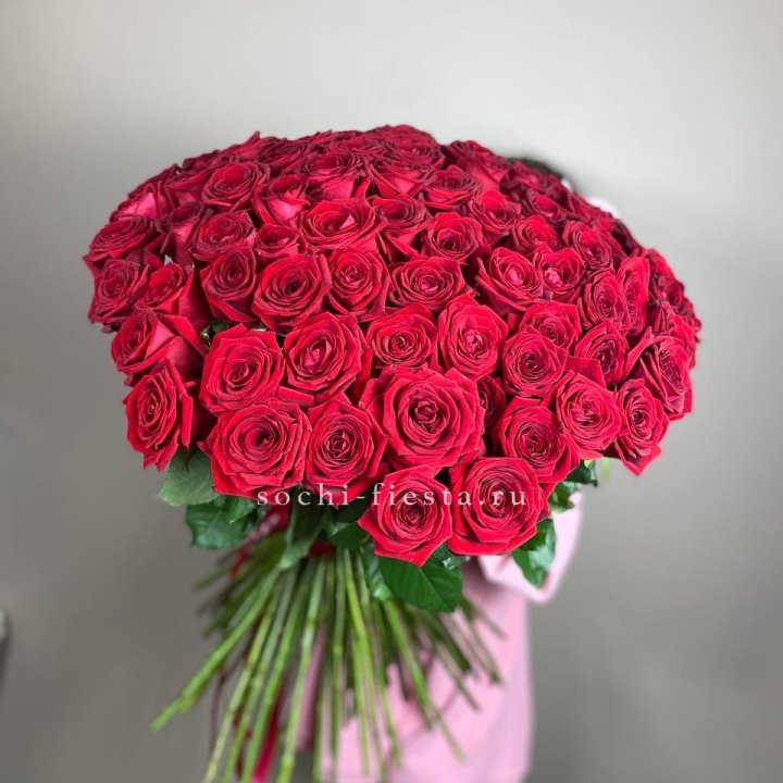 101  голландская роза  в Ангарске