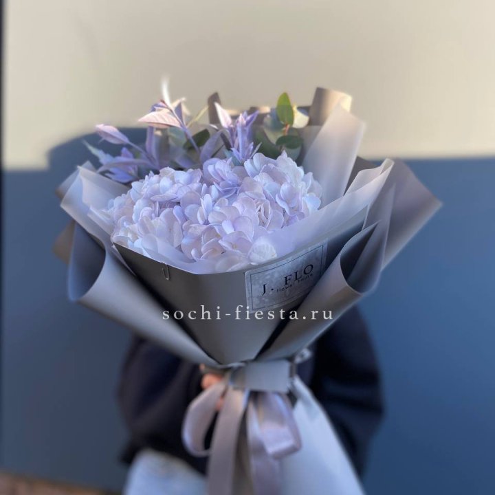 Гортензия "Виолета" в Ангарске
