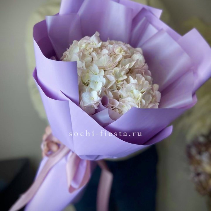 Гортензия розовая в Ангарске