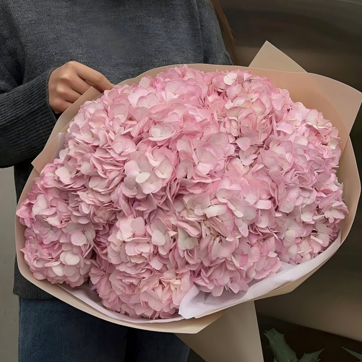 Гортензия  "РОЗЕ" в Ангарске