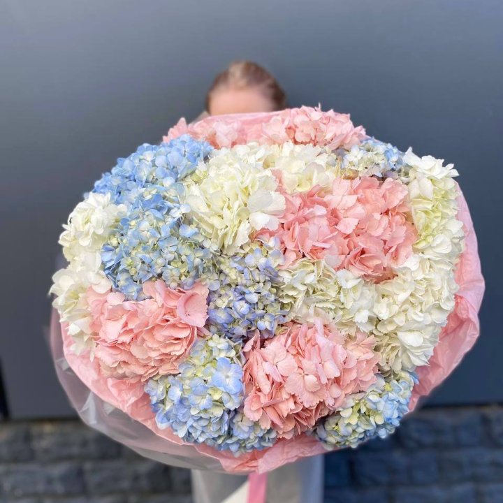 19 гортензий микс в Ангарске