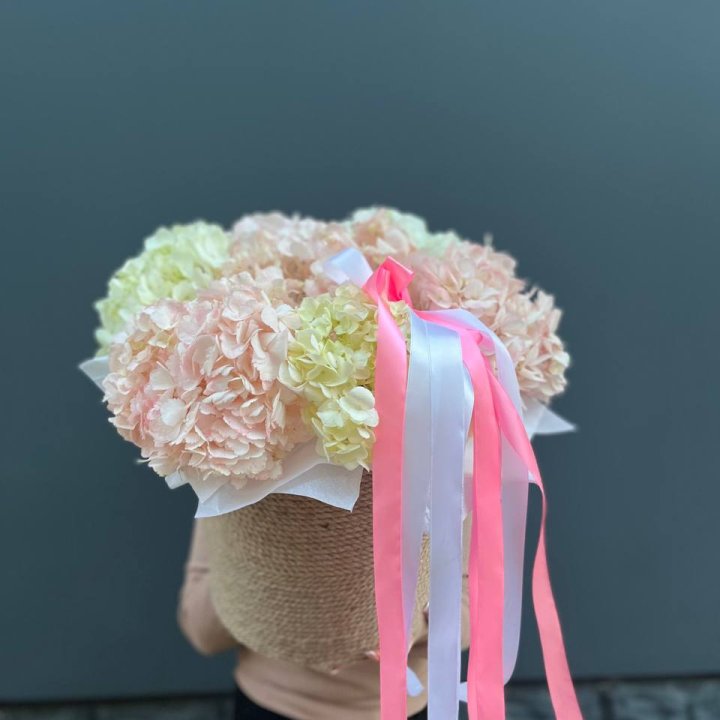 7 гортензий в кашпо в Ангарске