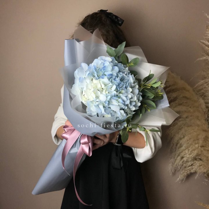 Гортензия Уно в Ангарске