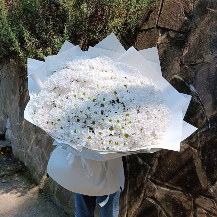 Облако хризантем №2 в Ангарске