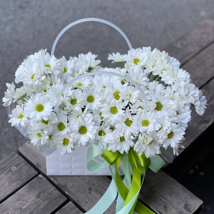 Сумка с хризантемами ромашками в Ангарске