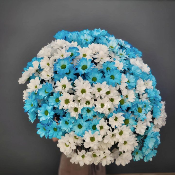  Букет хризантем микс в Ангарске