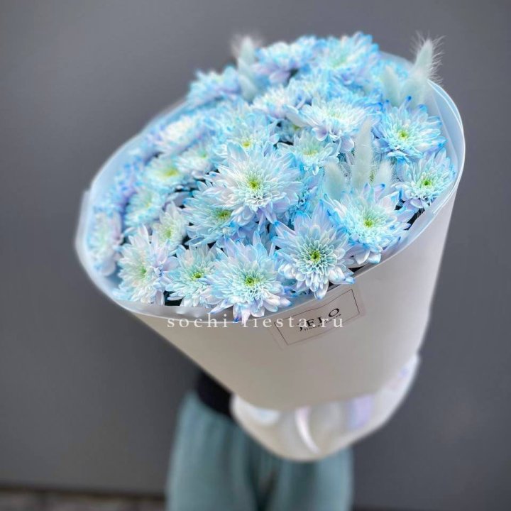  Букет нежно-голубых хризантем  в Ангарске