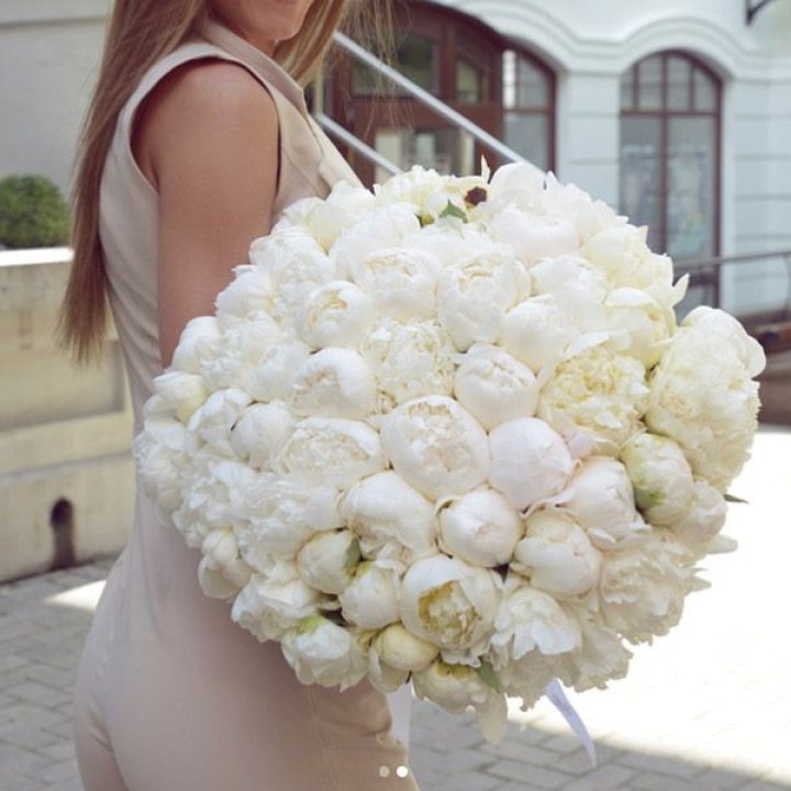 51 белый пион в Ангарске