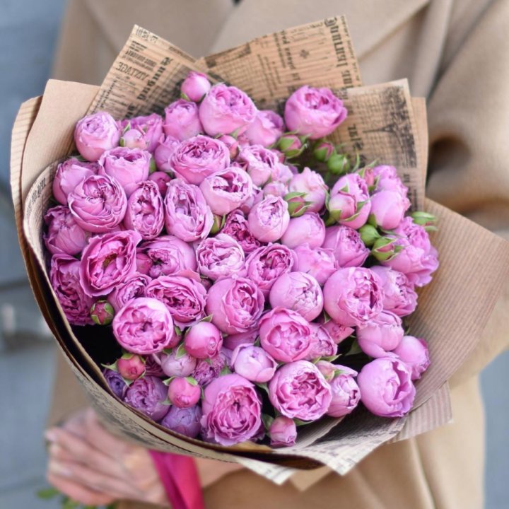 Роза Мисти Баблс в Ангарске