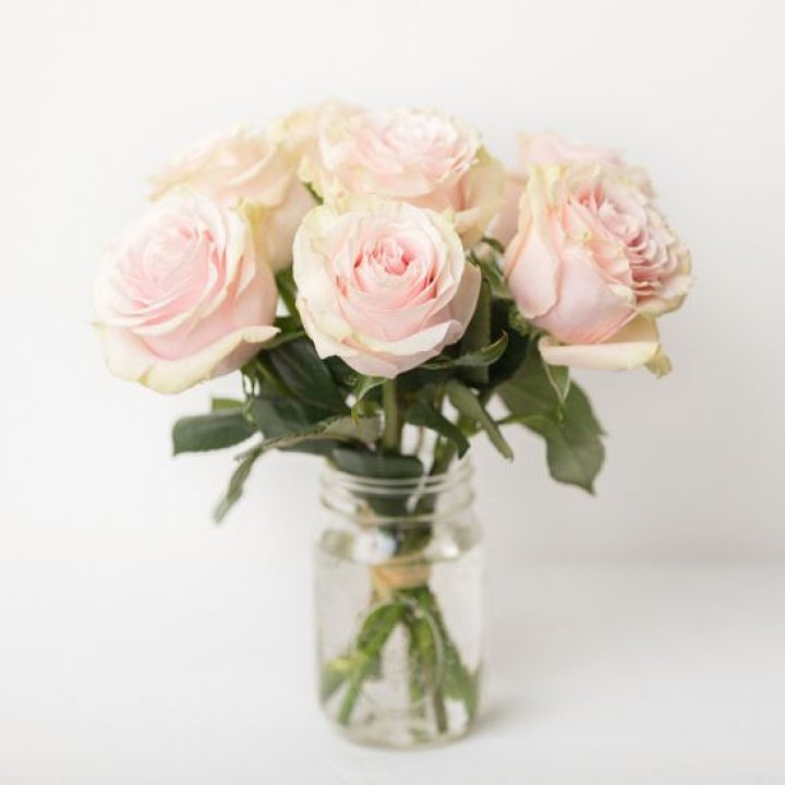 7 кремовых роз в Ангарске