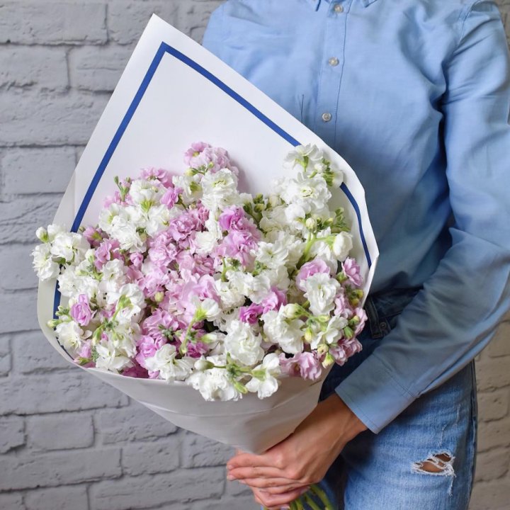 Маттиола в Ангарске