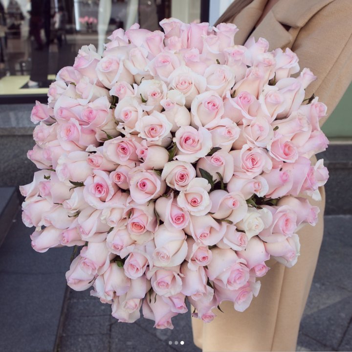 Розы "Пинк бум" в Ангарске