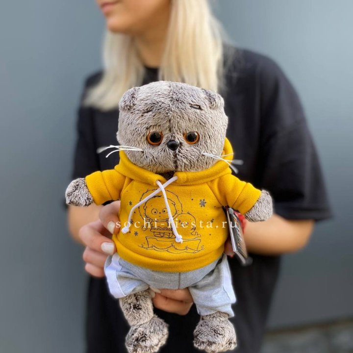 Кот Басик в худи в Ангарске