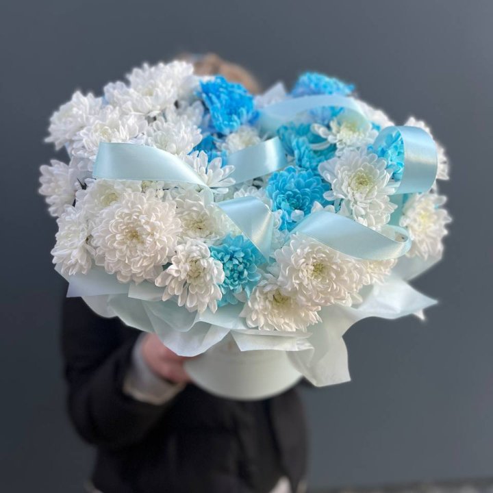 Хризнтемы в боксе в Ангарске