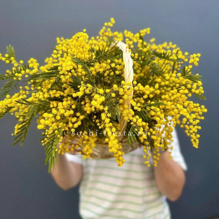 Весенняя корзина мимозы в Ангарске
