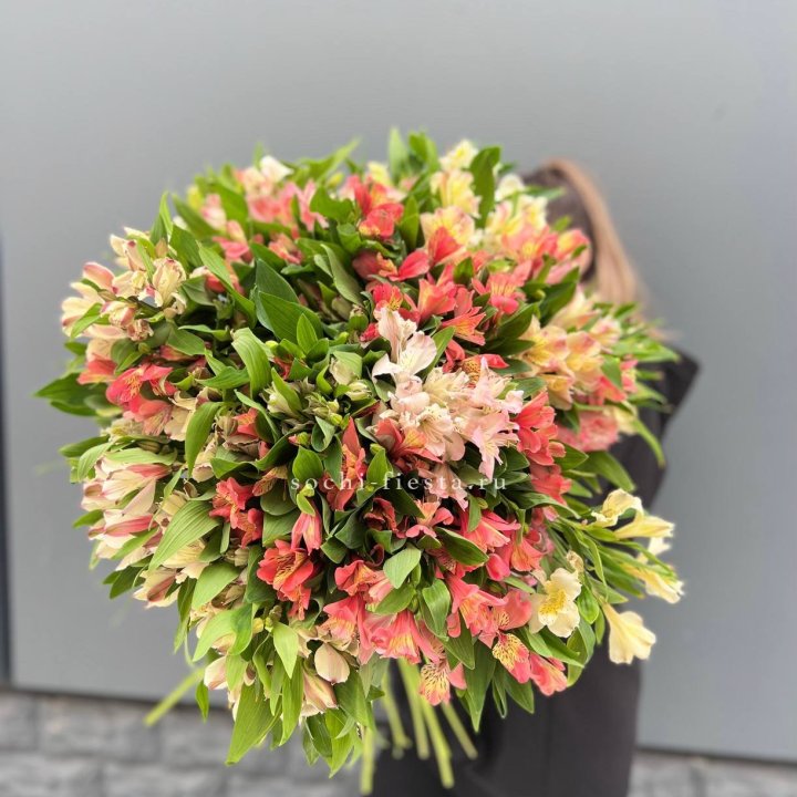 51 альстромерия в Ангарске