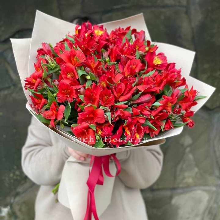 51 альстромерия в Ангарске