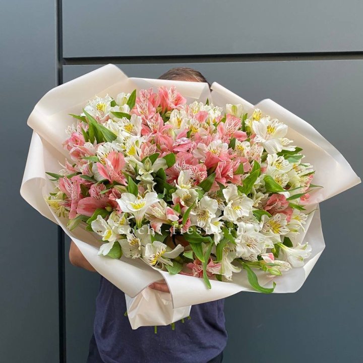 39 альстромерий в Ангарске