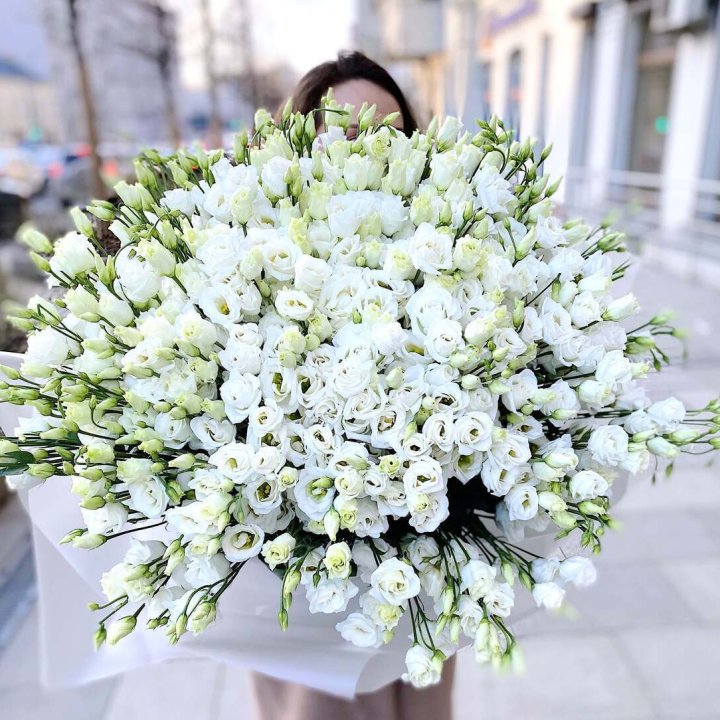 101 белая эустома в Ангарске