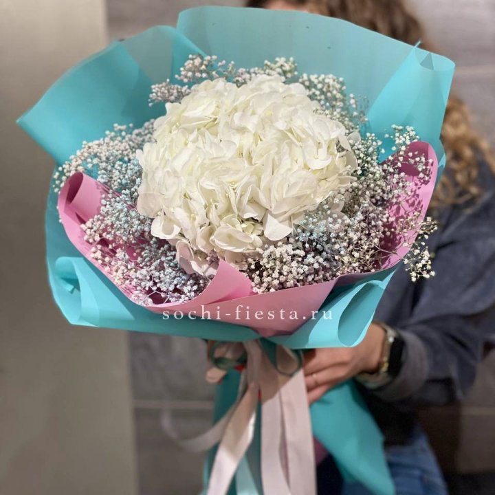 Гортензия "Райдов" в Ангарске