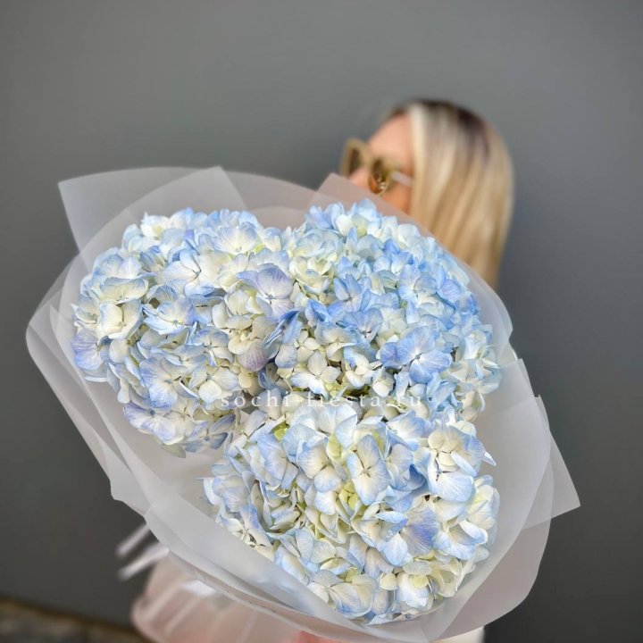 Букет из 3 голубых гортензий  в Ангарске