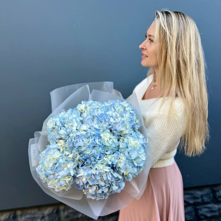 7 голубых гортензий в Ангарске