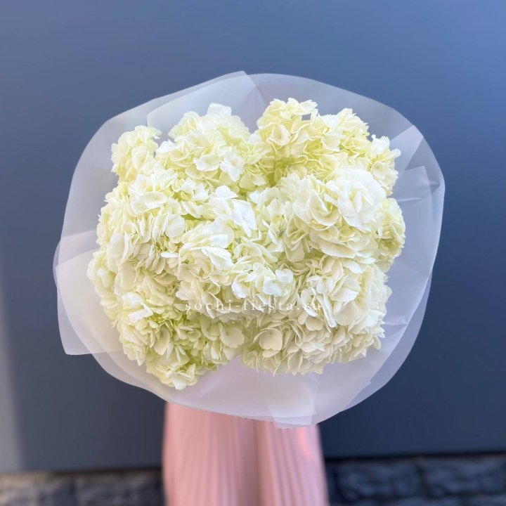 7 белых гортензий в Ангарске