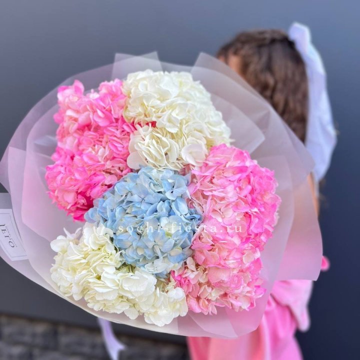 7 гортензий микс в Ангарске