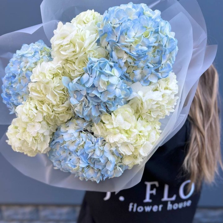 9 бело-голубых гортензий в Ангарске