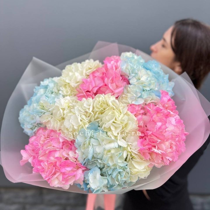 9 гортензий микс в Ангарске
