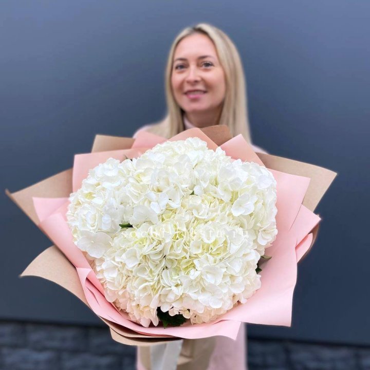 Гортензия белая в Ангарске