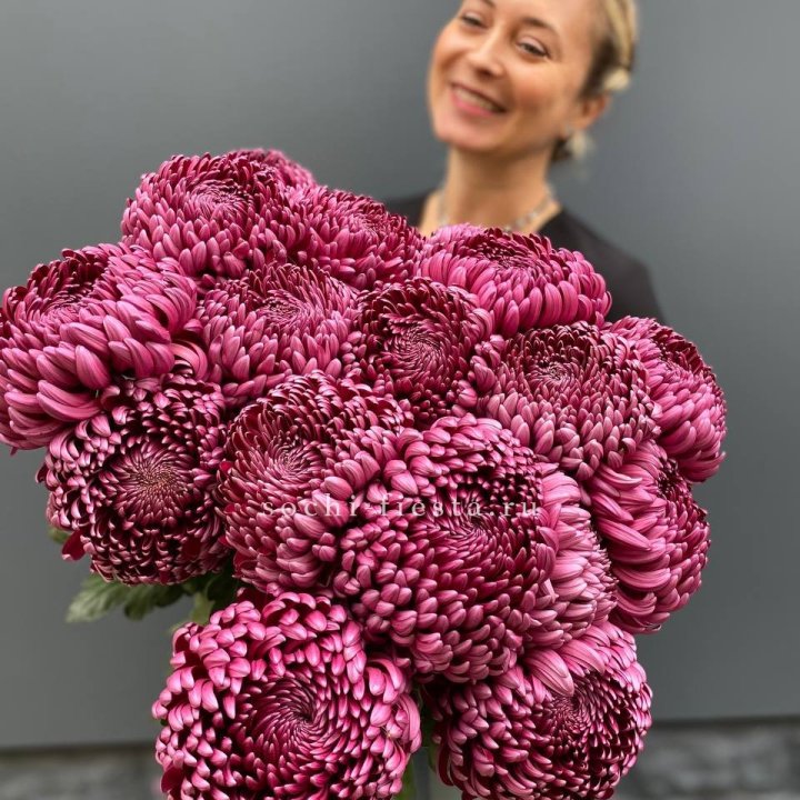 Охапка хризантем Бигуди в Ангарске